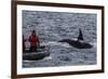 Adult Bull Type a Killer Whale (Orcinus Orca) Surfacing Near Researchers in the Gerlache Strait-Michael Nolan-Framed Photographic Print