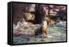 Adult California Sea Lion (Zalophus Californianus), at Los Islotes, Baja California Sur-Michael Nolan-Framed Stretched Canvas