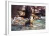 Adult California Sea Lion (Zalophus Californianus), at Los Islotes, Baja California Sur-Michael Nolan-Framed Photographic Print