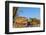 Adult Captive Desert Tortoise (Gopherus Agassizii) at Sunset at the Arizona Sonora Desert Museum-Michael Nolan-Framed Photographic Print