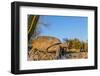 Adult Captive Desert Tortoise (Gopherus Agassizii) at Sunset at the Arizona Sonora Desert Museum-Michael Nolan-Framed Photographic Print