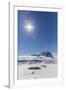 Adult Crabeater Seals (Lobodon Carcinophaga) on Ice Floe Near Port Lockroy-Michael Nolan-Framed Photographic Print