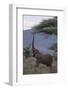 Adult Elephant Reaching for Tree Leaves-DLILLC-Framed Photographic Print