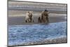 Adult female grizzly bear and cub fishing, Lake Clark National Park and Preserve, Alaska-Adam Jones-Mounted Photographic Print