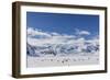 Adult Gentoo Penguins (Pygoscelis Papua) in the Enterprise Islands-Michael Nolan-Framed Photographic Print