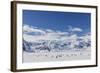 Adult Gentoo Penguins (Pygoscelis Papua) in the Enterprise Islands-Michael Nolan-Framed Photographic Print