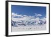 Adult Gentoo Penguins (Pygoscelis Papua) in the Enterprise Islands-Michael Nolan-Framed Photographic Print