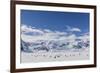 Adult Gentoo Penguins (Pygoscelis Papua) in the Enterprise Islands-Michael Nolan-Framed Photographic Print