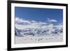 Adult Gentoo Penguins (Pygoscelis Papua) in the Enterprise Islands-Michael Nolan-Framed Photographic Print