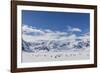 Adult Gentoo Penguins (Pygoscelis Papua) in the Enterprise Islands-Michael Nolan-Framed Photographic Print