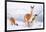 Adult Guanacos grazing in deep snow near Lago Pehoe, Chile-Nick Garbutt-Framed Photographic Print