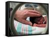 Adult Hand Touching Tiny Head of Baby, Born Addicted to Crack Cocaine, in Hospital Incubator-Ted Thai-Framed Stretched Canvas