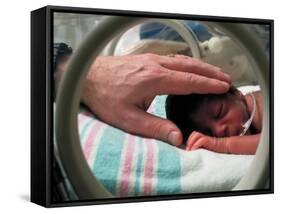 Adult Hand Touching Tiny Head of Baby, Born Addicted to Crack Cocaine, in Hospital Incubator-Ted Thai-Framed Stretched Canvas