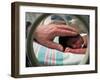 Adult Hand Touching Tiny Head of Baby, Born Addicted to Crack Cocaine, in Hospital Incubator-Ted Thai-Framed Photographic Print