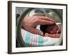 Adult Hand Touching Tiny Head of Baby, Born Addicted to Crack Cocaine, in Hospital Incubator-Ted Thai-Framed Photographic Print