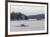 Adult Humpback Whale (Megaptera Novaeangliae) Flukes-Up Dive-Michael Nolan-Framed Photographic Print