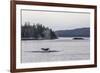 Adult Humpback Whale (Megaptera Novaeangliae) Flukes-Up Dive-Michael Nolan-Framed Photographic Print