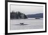 Adult Humpback Whale (Megaptera Novaeangliae) Flukes-Up Dive-Michael Nolan-Framed Photographic Print