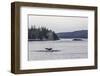 Adult Humpback Whale (Megaptera Novaeangliae) Flukes-Up Dive-Michael Nolan-Framed Photographic Print