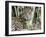 Adult jaguar (Panthera onca), on the riverbank of Rio Tres Irmao, Mato Grosso, Pantanal-Michael Nolan-Framed Photographic Print