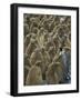 Adult King Penguin with Group of Juveniles-Darrell Gulin-Framed Photographic Print