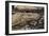 Adult Komodo Dragon (Varanus Komodoensis), in Komodo National Park, Komodo Island, Indonesia-Michael Nolan-Framed Photographic Print