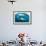 Adult Leopard Seal (Hydrurga Leptonyx) Inspecting the Camera Above and Below Water at Damoy Point-Michael Nolan-Framed Photographic Print displayed on a wall