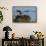 Adult Osprey Mate Leaving Nest, Flamingo, Everglades National Park, Florida-Maresa Pryor-Framed Stretched Canvas displayed on a wall