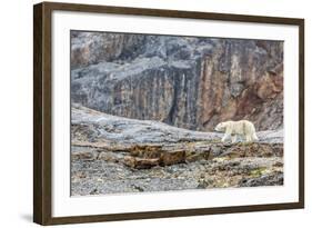 Adult Polar Bear (Ursus Maritimus) in the Mist in the Savage Islands-Michael-Framed Photographic Print