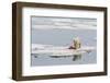 Adult Polar Bear (Ursus Maritimus) on a Seal Kill in Olgastretet Off Barentsoya-Michael Nolan-Framed Photographic Print