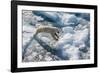 Adult Polar Bear (Ursus Maritimus) on Ice Floe-Michael-Framed Photographic Print