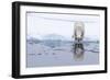 Adult polar bear (Ursus maritimus), reflected in the sea on ice near Ellesmere Island, Nunavut-Michael Nolan-Framed Photographic Print