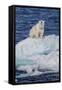 Adult Polar Bear (Ursus Maritimus)-Michael Nolan-Framed Stretched Canvas