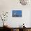 Adult Ruddy-Headed Goose (Chloephaga Rubidiceps)-Michael Nolan-Stretched Canvas displayed on a wall