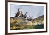 Adult Shags with young, gathered on rocks, Scotland-Alex Mustard-Framed Photographic Print