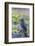 Adult Striated Heron-Michael Nolan-Framed Photographic Print