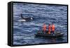 Adult Type a Killer Whale (Orcinus Orca) Surfacing Near Researchers in the Gerlache Strait-Michael Nolan-Framed Stretched Canvas