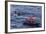 Adult Type a Killer Whale (Orcinus Orca) Surfacing Near Researchers in the Gerlache Strait-Michael Nolan-Framed Photographic Print