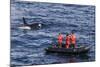 Adult Type a Killer Whale (Orcinus Orca) Surfacing Near Researchers in the Gerlache Strait-Michael Nolan-Mounted Photographic Print