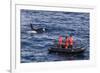 Adult Type a Killer Whale (Orcinus Orca) Surfacing Near Researchers in the Gerlache Strait-Michael Nolan-Framed Photographic Print