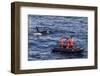 Adult Type a Killer Whale (Orcinus Orca) Surfacing Near Researchers in the Gerlache Strait-Michael Nolan-Framed Photographic Print