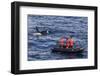 Adult Type a Killer Whale (Orcinus Orca) Surfacing Near Researchers in the Gerlache Strait-Michael Nolan-Framed Photographic Print