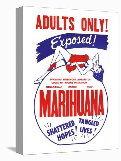 Adults Only! Marihuana-null-Stretched Canvas