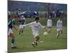 Adults playing soccer, Germany-Alan Klehr-Mounted Photographic Print