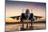 Advanced F-15 fighter-null-Mounted Art Print