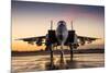 Advanced F-15 fighter-null-Mounted Art Print