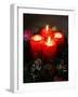 Advent Candles, France, Europe-null-Framed Photographic Print