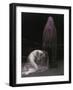 Advent-Malgorzata Maj-Framed Photographic Print