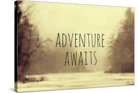Adventure Awaits II-Vintage Skies-Stretched Canvas