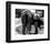 Adventures of Superman-null-Framed Photo